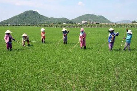 Phụ nữ Quảng Nam và tỉnh Sekong tăng cường hợp tác 