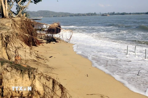 Hàng loạt vụ sạt lở đất ở Cà Mau gây nhiều thiệt hại 