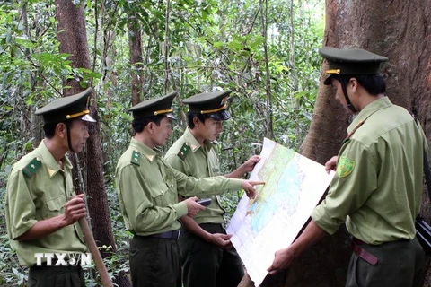 Việt Nam lần đầu được cấp chứng chỉ toàn phần bảo vệ rừng