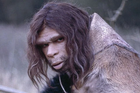 Phát hiện mới về chế độ ăn của người hang động Neanderthal