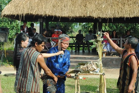 Bảo tồn văn hóa truyền thống của người H’rê ở Quảng Ngãi