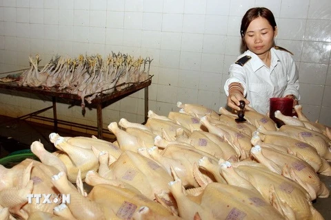 Hà Nội xử phạt gần 680 cơ sở vi phạm về an toàn thực phẩm