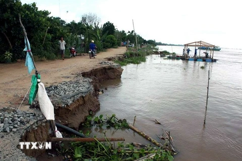 Tình trạng sạt lở bờ sông ở Phú Thọ cần sớm khắc phục