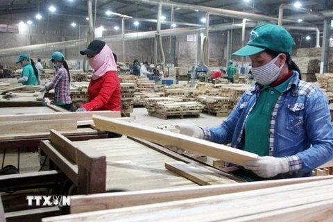 Sản xuất, chế biến gỗ xuất khẩu ở Quảng Ngãi khởi sắc trở lại 