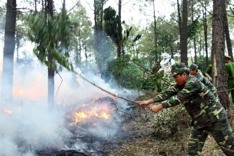 Hà Nội đầu tư trên 14 tỷ đồng để phòng và chữa cháy rừng