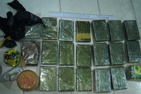 Mở rộng điều tra vụ án thu giữ 13 bánh heroin tại Nam Định