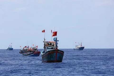 Tích cực tìm ngư dân mất tích trong vụ chìm ghe ở Quảng Ngãi