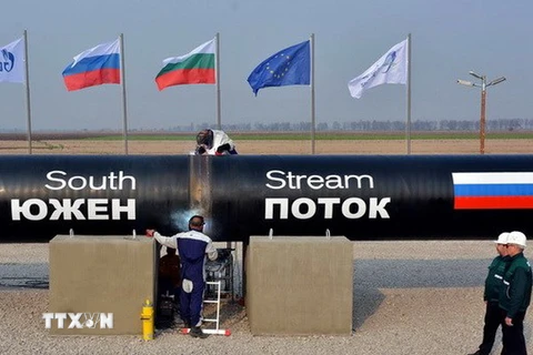 Nga, Serbia và EU đều thiệt hại nặng nếu dừng "Dòng chảy phương Nam"