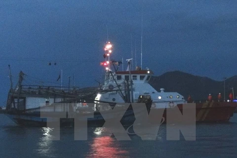 Đà Nẵng khẩn trương cứu nạn thuyền viên bị tai biến trên biển