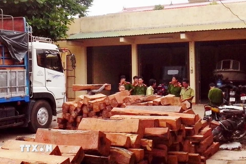 Bắt quả tang vụ vận chuyển trái phép gỗ quý hiếm ở Quảng Nam