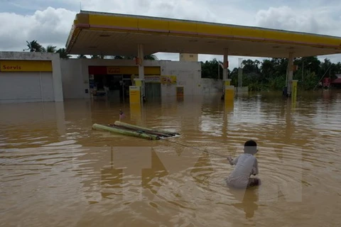 Lãnh đạo Việt Nam điện thăm hỏi về trận lũ lụt ở Đông Bắc Malaysia