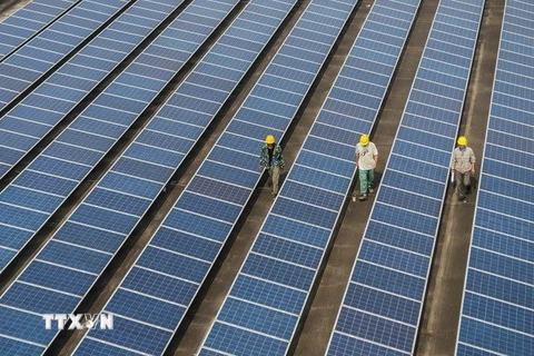 Tấm thu năng lượng Mặt Trời Trung Quốc “chiếm lĩnh” Ấn Độ