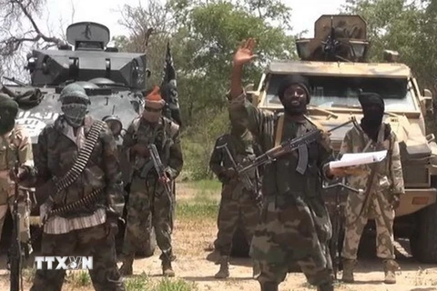 Quân đội Nigeria tiêu diệt 78 tay súng của nhóm Boko Haram 