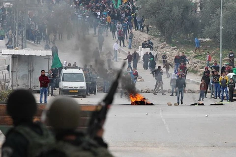 Quân đội Israel đã bắt giữ 350 người Palestine trong tháng 1