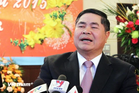 Năm 2014 - Năm thành công trong quan hệ Việt Nam-Nhật Bản