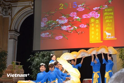Kiều bào Pháp và sinh viên Việt tại Nga tưng bừng đón năm mới