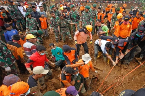 Sạt lở đất nghiêm trọng tại Indonesia, 10 người chết và mất tích