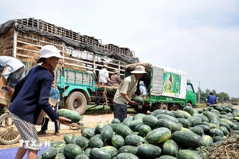 Bộ Công Thương: Lạng Sơn tạo mọi điều kiện xuất khẩu nông sản