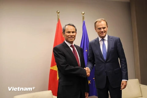 EU luôn coi trọng thúc đẩy hợp tác hiệu quả với Việt Nam