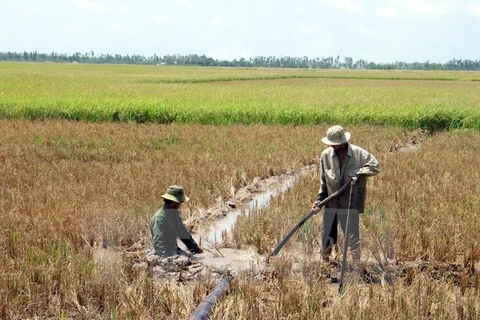 Nắng nóng ở Trung Bộ có khả năng kéo dài trong 4-5 ngày tới