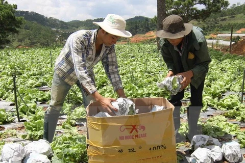 Tiềm năng thu hút FDI vào lĩnh vực nông nghiệp ở Lâm Đồng