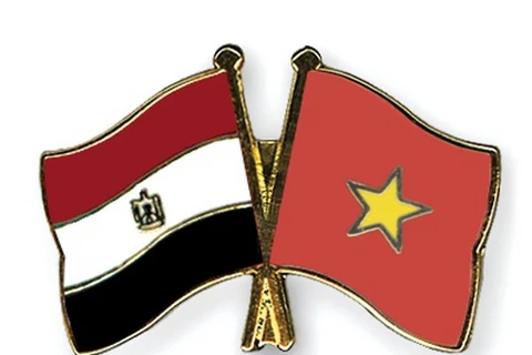 Việt Nam và Ai Cập họp tham vấn chính trị lần thứ 8 tại Cairo