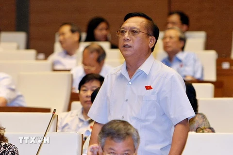 Đại biểu Quốc hội tỉnh Đắk Lắk Trần Đình Sơn phát biểu ý kiến. (Ảnh: Phạm Kiên/TTXVN) 