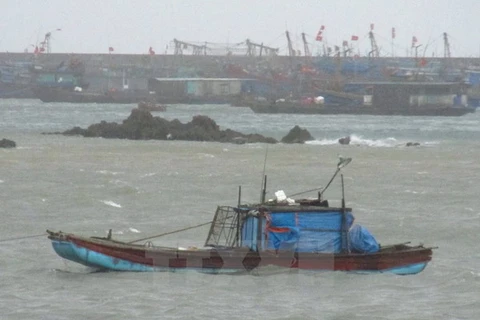 Tàu thuyền của ngư dân và tránh trú bão số 1 tại huyện đảo Cô Tô. (Ảnh: Thu Hằng-Thu Báu/TTXVN)