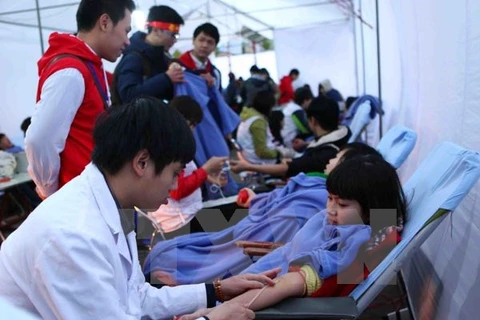 Sinh viên, thanh niên tham gia hiến máu tình nguyện. (Ảnh: TTXVN)