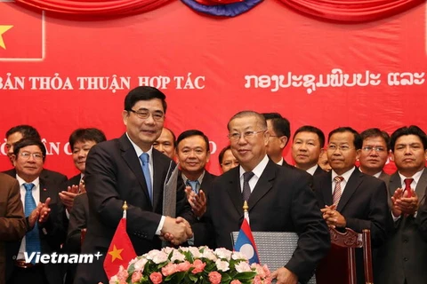 Việt Nam và Lào tăng cường hợp tác trong lĩnh vực nông lâm nghiệp. (Ảnh: Phạm Kiên/Vietnam+)