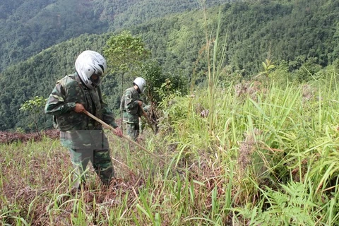 Hà Giang cần hỗ trợ rà phá bom mình trên biên giới Việt-Trung