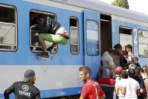 Các quốc gia châu Âu đang đối mặt nguy cơ các phần tử khủng bố xâm nhập qua dòng người tị nạn. (Ảnh: Reuters/TTXVN) 