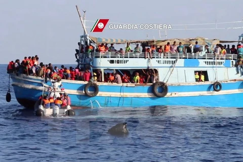 Lực lượng bảo vệ bờ biển Italy cứu vớt những người di cư trên biển Địa Trung Hải ngày 23/8. (Nguồn: AFP/TTXVN)