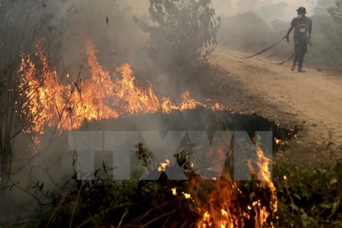 Binh sỹ Indonesia tham gia dập các đám cháy từng tại Ogan Ilir, tỉnh Nam Sumatra ngày 30/9. (Reuters/TTXVN)