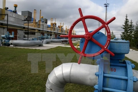Đường ống dẫn khí đốt tại trạm cung cấp khí gần làng Volovets, miền tây Ukraine. (Nguồn: Reuters/TTXVN)