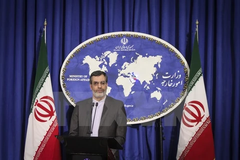 Người phát ngôn Bộ Ngoại giao Iran Hossein Jaberi Ansari. (Ảnh: THX/TTXVN)