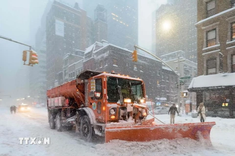 Xe ủi dọn tuyết tại New York ngày 23/1. (Nguồn: AFP/TTXVN)