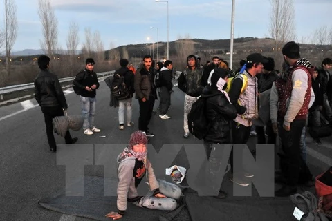 Người tị nạn Afghanistan chờ đợi giấy phép tại biên giới giữa Hy Lạp và Macedonia, gần làng Idomeni. (Nguồn: AFP/TTXVN)