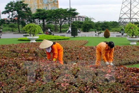 Hà Nội tăng tỷ lệ cây xanh lên 10-12m2/người. (Nguồn: TTXVN)