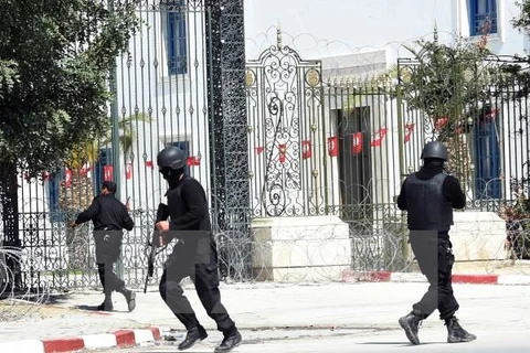 Lực lượng an ninh Tunisia. (Nguồn: AFP/TTXVN)