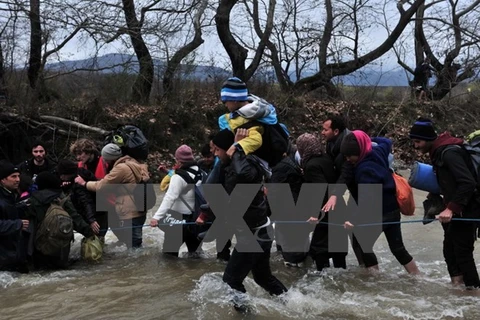 Người di cư và tị nạn cố tìm cách vượt sông sang Macedonia từ các trại tị nạn ở khu vực biên giới Hy Lạp-Macedonia ngày 14/3. (Nguồn: AFP/TTXVN)