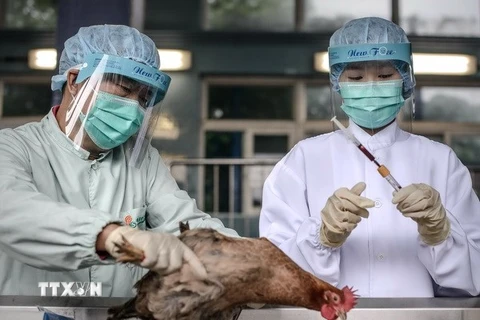 Ảnh minh họa. (Nguồn: AFP/TTXVN)