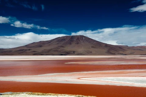 Hồ Laguna Colorada ở Bolivia. (Nguồn: NatGeo)