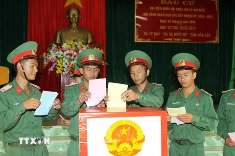 Cán bộ, chiến sỹ trung đoàn BB95 bỏ phiếu bầu cử. (Ảnh: Dương Giang/TTXVN) 