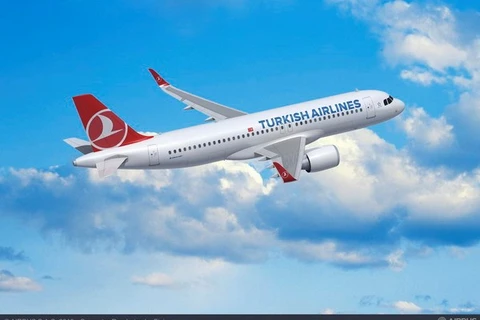 Một máy bay của hãng Turkish Airlines. (Nguồn: www.porto.pt)