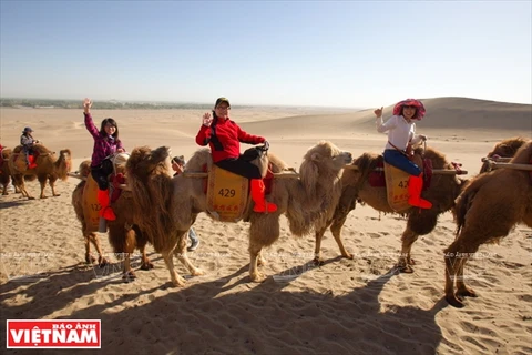 Mỗi tốp lạc đà gồm 5 chú sẽ do một "hoa tiêu" phụ trách, dẫn đường cho du khách trong suốt hành trình suốt 4 km tiến sâu vào sa mạc cát.