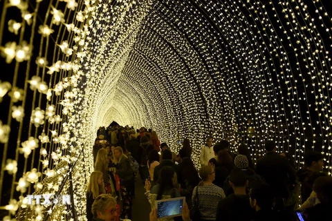 Khách tham quan chiêm ngưỡng đường hầm lung linh ánh sáng tại công viên Bách thảo Hoàng gia trong lễ hội. (Nguồn: AFP/TTXVN)