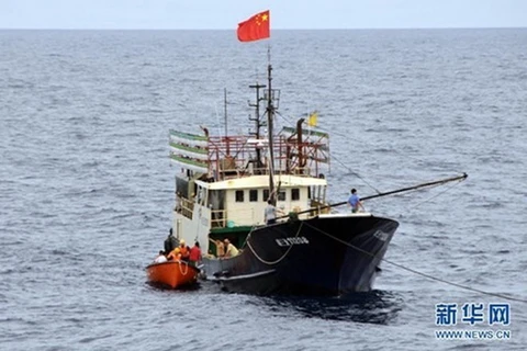 Tàu đánh cá Trung Quốc. (Ảnh minh họa. Nguồn: THX)