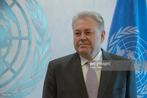 Đại sứ Ukraine tại Liên hợp quốc Volodymyr Yelchenko. (Nguồn: Getty)