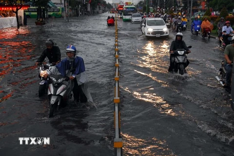 Một tuyến đường tại TP Hồ Chí Minh bị ngập sâu trong nước. (Nguồn: TTXVN)
